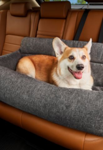 Paw.com background image