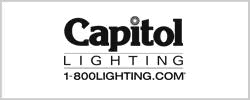 1-800Lighting logo