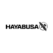 Hayabusa logo