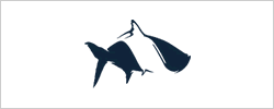 Fish Hippie Co. logo