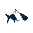 Fish Hippie Co. logo