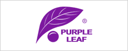 Purple Leaf logo